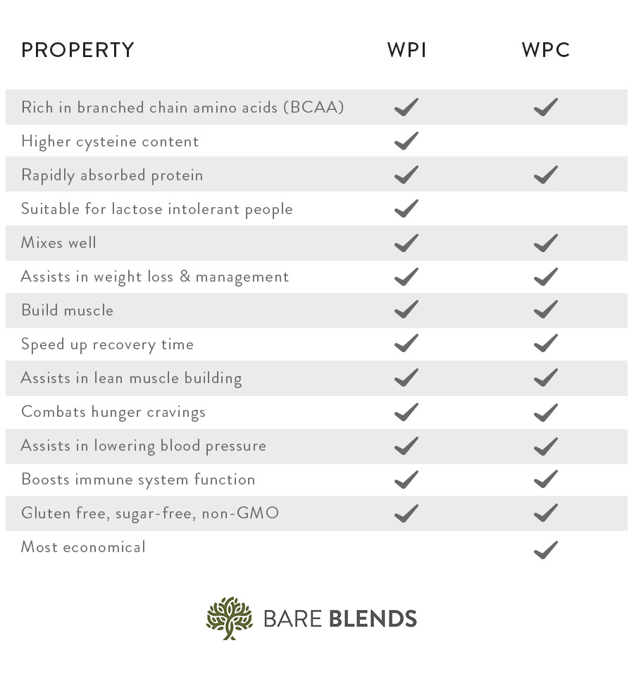 wpi vs wpc protein